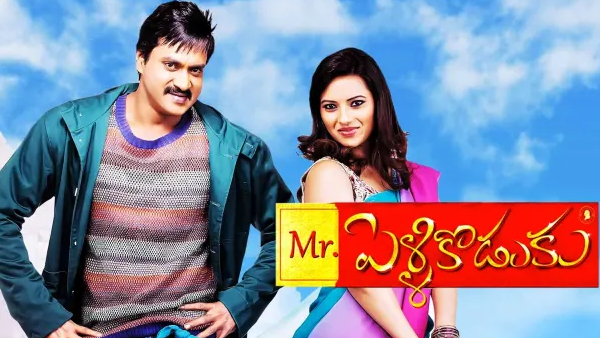 మిస్టర్ పెళ్ళికొడుకు