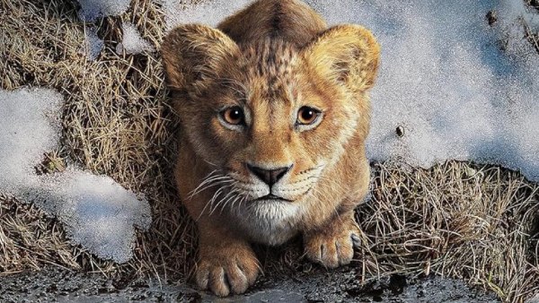 Mufasa: The Lion King Overreview