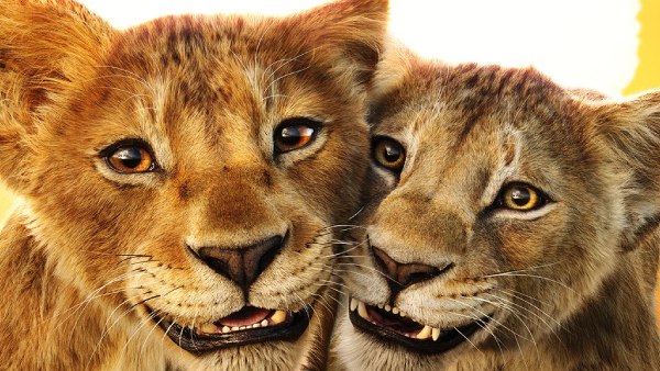 Why You Should Watch Mufasa: The Lion King