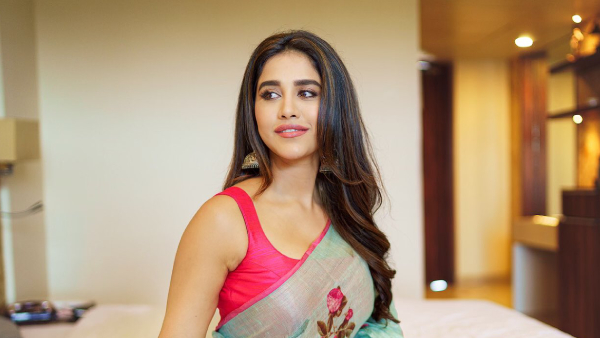 ನಭಾ ನಟೇಶ್