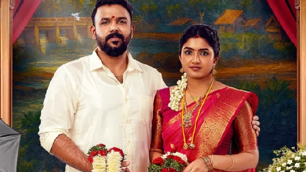 Telugu Movies Releasing in Theaters