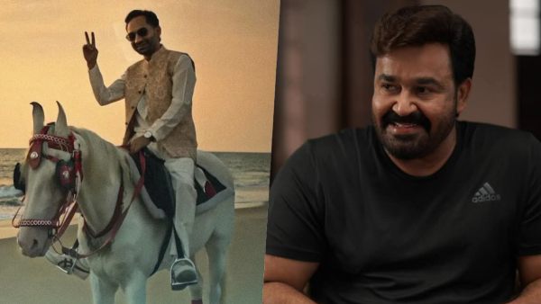 Star Power At Its Peak