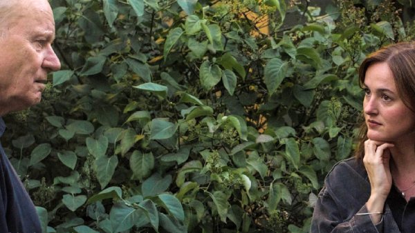 Best International Feature