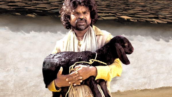 पीपली लाइव