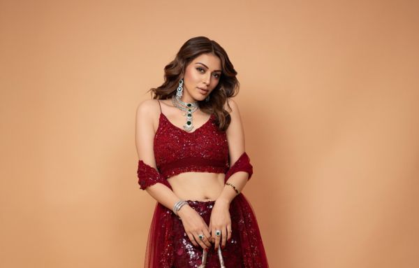 Commercial Plateau and Industry Challenges