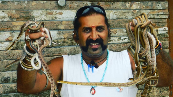 ಸ್ನೇಕ್ ಶ್ಯಾಮ್