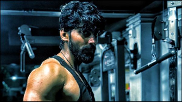 Why You Should Watch Surrender on OTT