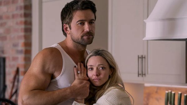 What is the storyline of The Housemaid 2?