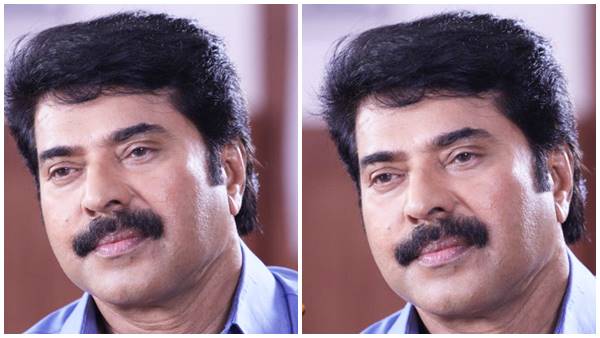 ദി കിംഗ്