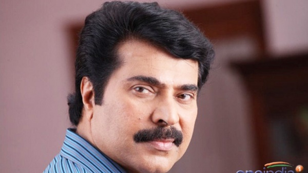 ദി കിംഗ്