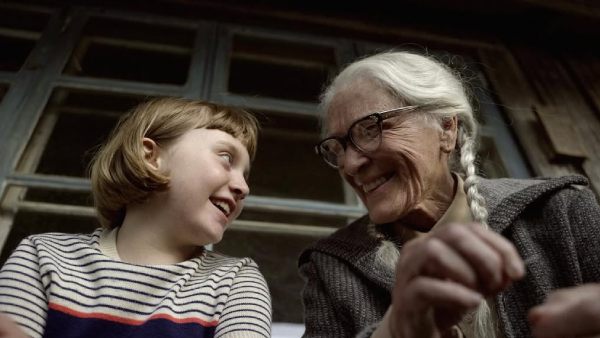 The Summer Book Storyline