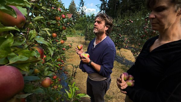 This Is A Gardening Show Storyline