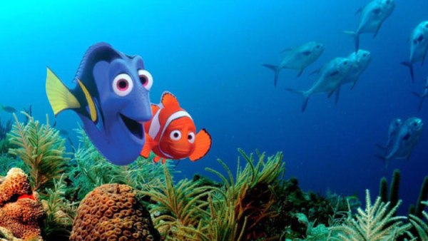 Finding Nemo