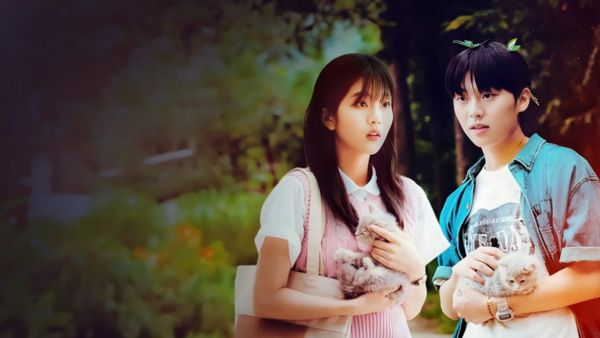 Twinkling Watermelon Story