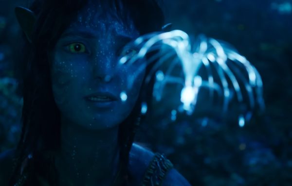 Avatar: Fire and Ash Cast And Crew 