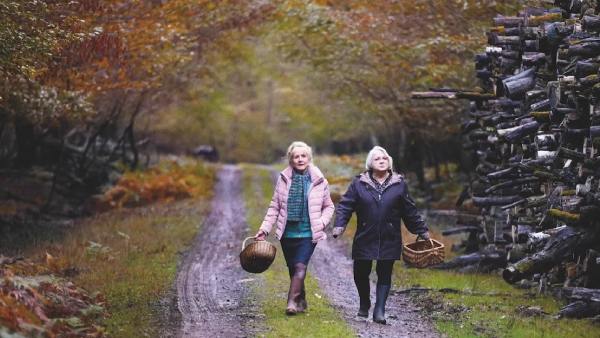 When Fall Is Coming OTT Platform & Release Date