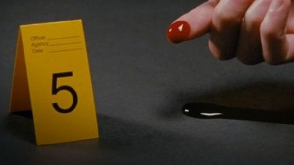 Zodiac Killer Project Festival Journey & Critical Reception