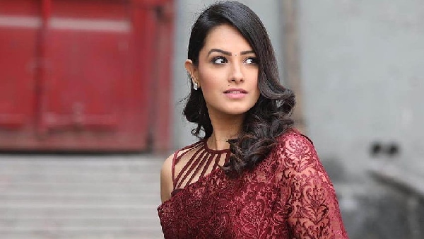 अनीता हसनंदानी