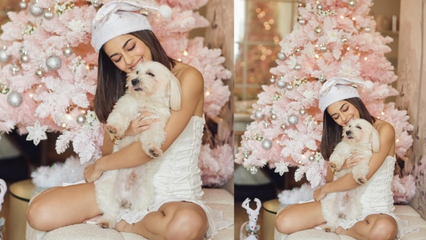 अलाया फर्नीचरवाला