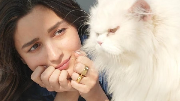 आलिया भट्ट