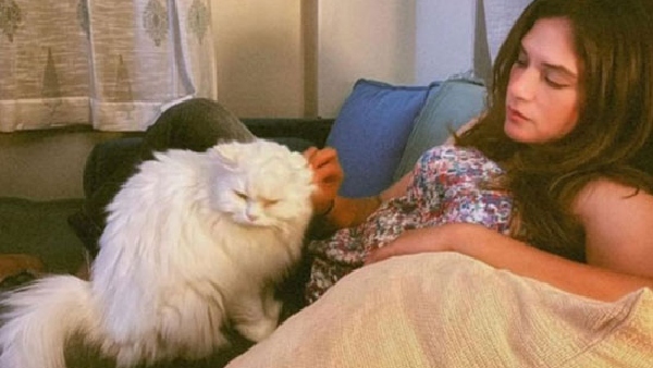 ऋचा चड्ढा