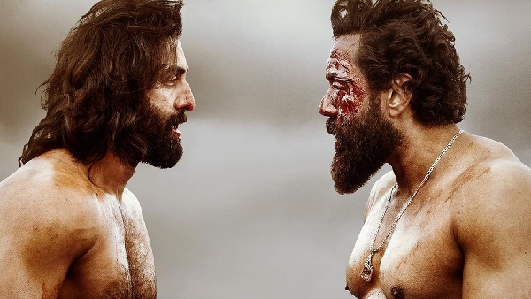 एनिमल पार्क