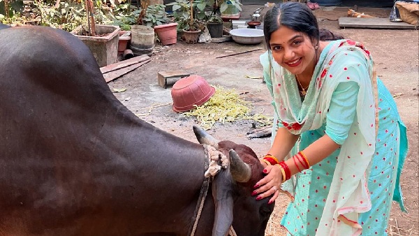 कैसे रहेगा है वायरल भाभी का गेम