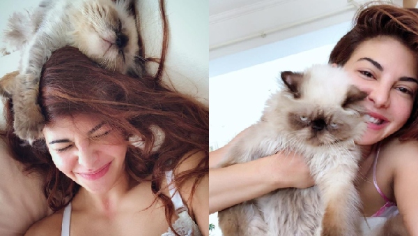 जैकलीन फर्नांडीज