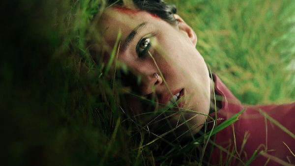 डोंट मूव