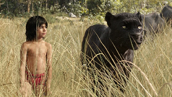 द जंगल बुक