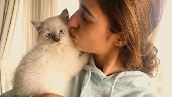 दिशा पाटनी