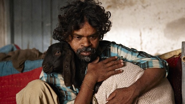 पीपली लाइव