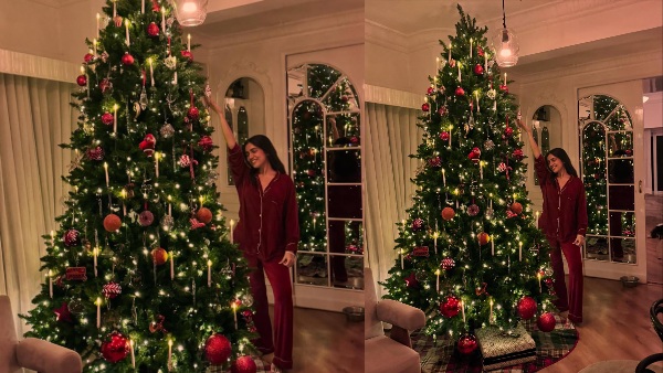 भूमि पेडनेकर