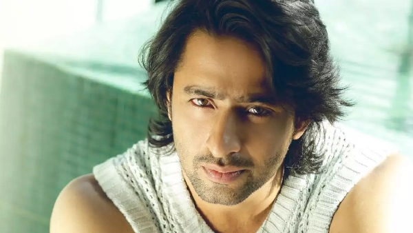 शाहिर शेख