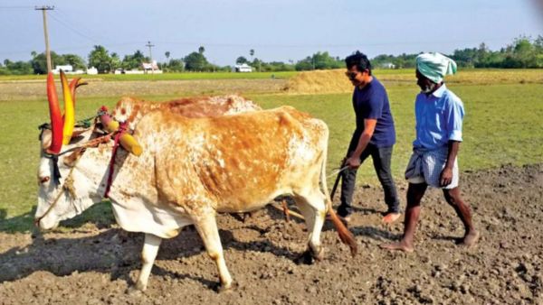 கார்த்தி