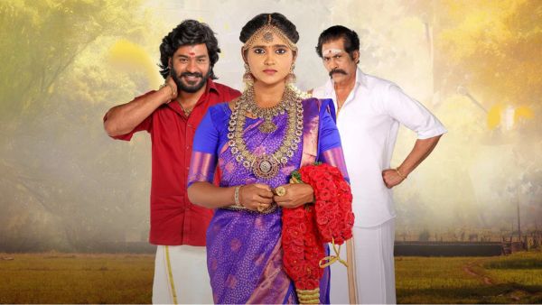 சின்ன மருமகள் 