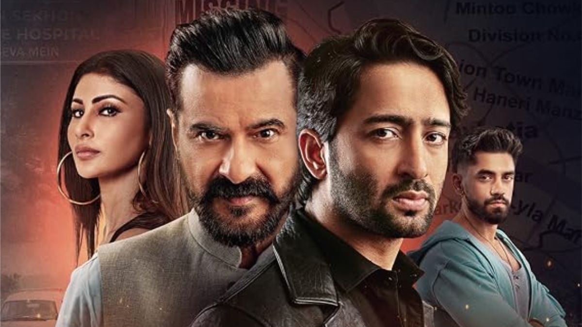 Ab Hoga Hisaab Season 2: When to Watch Shaheer Shaikh & Sanjay Kapoor’s Revenge Drama Sequel