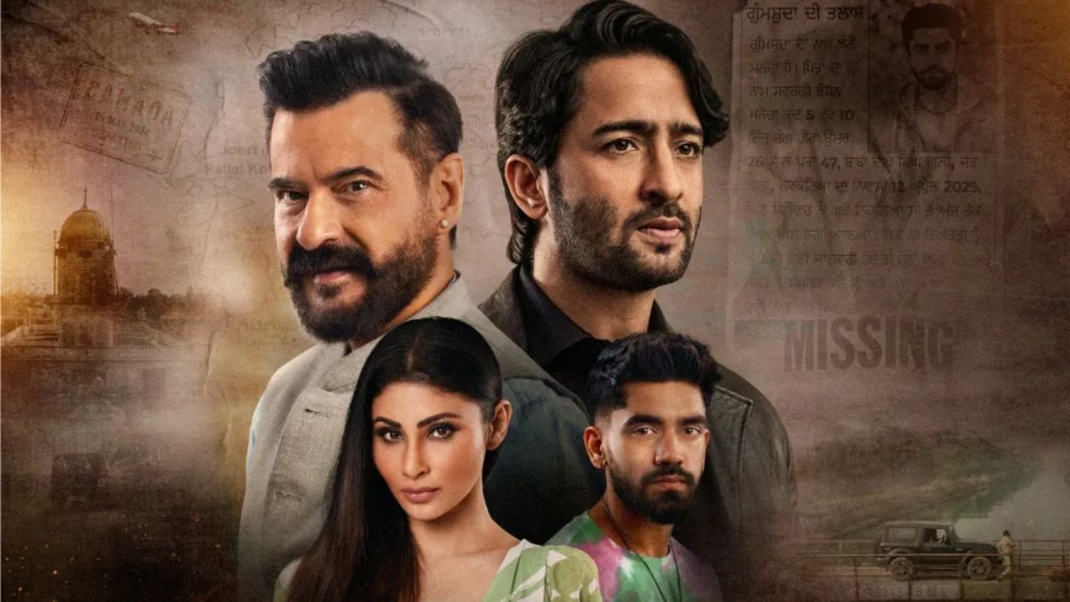 Ab Hoga Hisab On OTT: When And Where To Watch Sanjay Kapoor and Shaheer Sheikh’s Most Awaited Revenge Drama Online