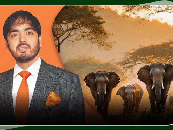 3000 एकड़ में फैला अनंत मुकेश अंबानी के वंतारा पशु बचाव और पुनर्वास केंद्र के अंदर क्या है?