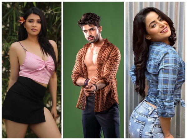 Bigg Boss 17: शो में गंदा गेम खेलकर इन सितारों ने लगाई अपनी लंका, बर्बाद हुआ करियर