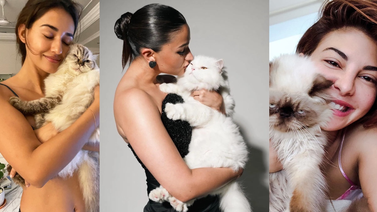 बिल्ली के प्यार में पागल हैं ये बॉलीवुड हसीनाएं