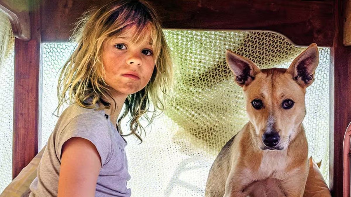 Don’t Let’s Go to the Dogs Tonight OTT: When And Where To Watch War Drama Online