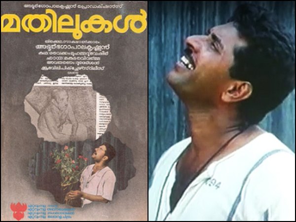 മതിലുകള്‍ മുതല്‍ തന്മാത വരെ, സാഹിത്യ കൃതികള്‍ സിനിമയായപ്പോള്‍