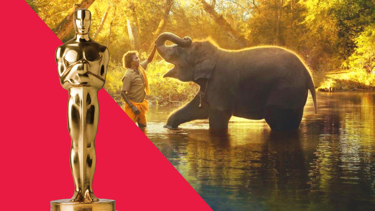 Oscars 2023: 'The Elephant Whisperers' Wins Best Documentary Short Film; Where To Watch