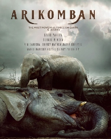 അരിക്കൊമ്പന്‍