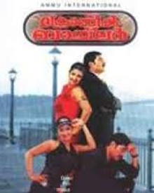 ക്രോണിക് ബാച്ചിലര്‍