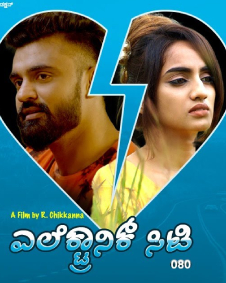 ಎಲೆಕ್ಟ್ರಾನಿಕ್ ಸಿಟಿ