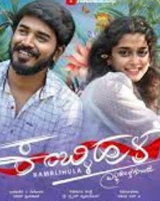 ಕಂಬ್ಳಿ ಹುಳ