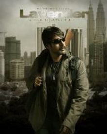 ലാവണ്ടർ