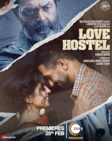 Love Hostel
